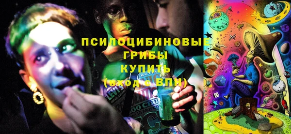 прущая мука Абаза