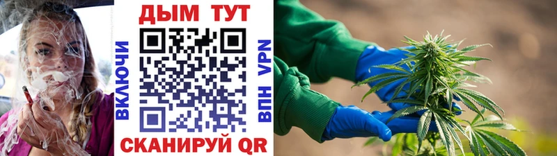 сайты даркнета Telegram  МЕГА зеркало  Пыталово  Канабис сатива 